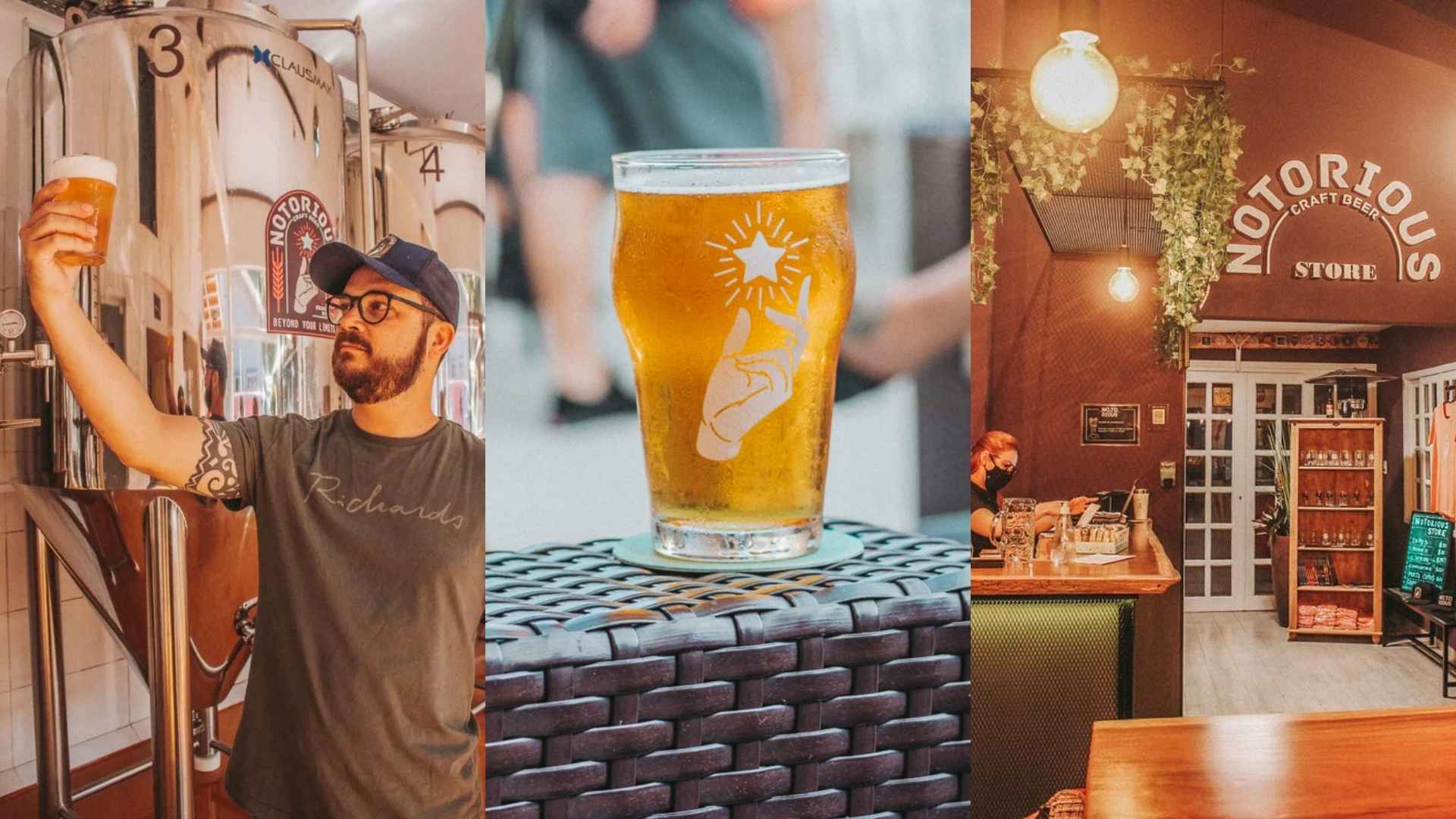 Notorious abre o taproom da fábrica pra provar todos os estilos em Itajaí